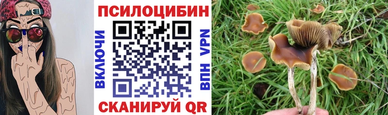 магазин продажи наркотиков  Колпашево  Псилоцибиновые грибы Psilocybe 